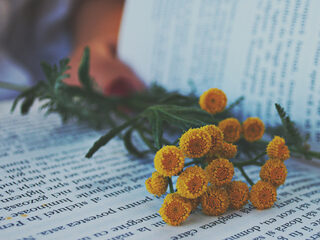 Wat betekent de tekst van Erbarme dich?