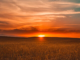 Wat is de Matthäus-Passion?