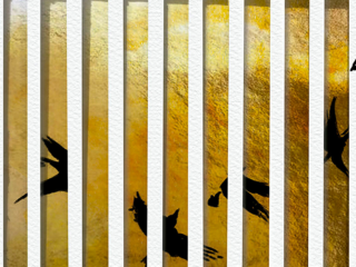 Antwoorden: Prijs-cd week 52 - Luigi Boccherini