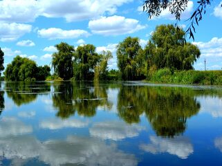 Zen in één minuut: Debussy - Prélude à l'après-midi d'un faune