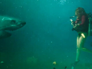 Andy Fosberry maakt muziek bij haaienthriller 'Into the Deep'