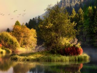 Zen in één minuut met Holland Baroque