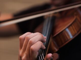 Van prehistorische fluit naar splinternieuwe printerviool