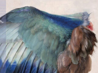 Johann Ludwig Bach: The Leipzig Cantatas