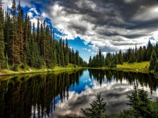 Zen in één minuut: Tsjaikovski's Vioolconcert