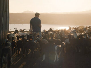 Frans misdaaddrama 'The Mohican' (Le Mohican) krijgt muziek van Rone