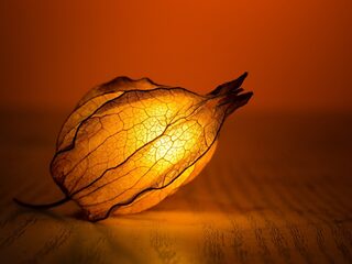 Zen in één minuut: Max Bruch - Eerste vioolconcert