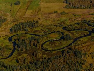 Zen in één minuut: De Moldau van Smetana