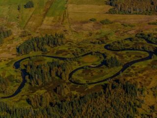 Zen in één minuut: De Moldau van Smetana