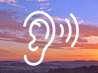 Beluister de Matthäus-Passion door de Nederlandse Bachvereniging