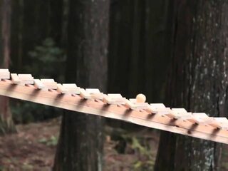 Moet je zien: meterslange xylofoon in Japans bos speelt Bach