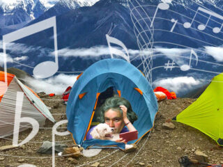 Muziek in de tent: zomerse luistertips van musici