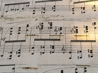 De basis: algemene muziektermen