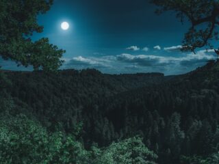 Zen in één minuut: Nocturne van Lili Boulanger