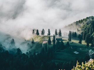 Zen in één minuut: Adagio uit Haydns Eerste celloconcert