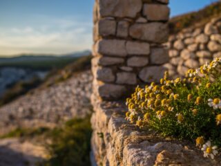Zen in één minuut: A Filetta