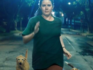 Nate Heller scoort komediehorror 'Nightbitch'