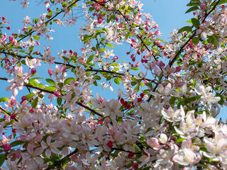 Gedraaid op NPO Radio 4 Concerten - FEBRUARI