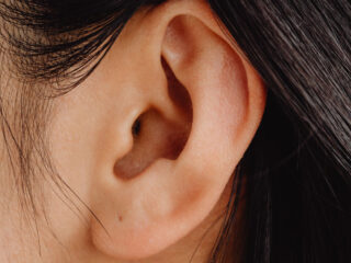 Geen verplicht maximum geluidsniveau voor versterkte muziek