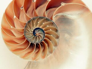 Zen in één minuut: de jarige Lavinia Meijer speelt Glass