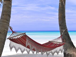 Concerten voor in je hangmat