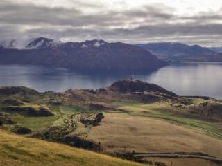 Gillian Karawe Whitehead