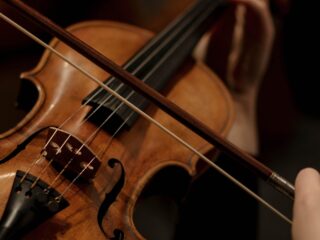 Strijkstokken van beschermde houtsoort: kan dat nog?