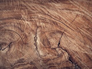 Zen in één minuut: Yang Yang Cai speelt Beethoven