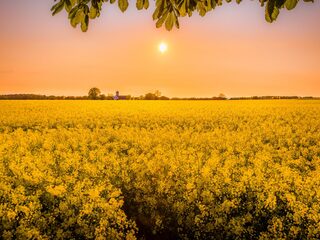 Zen in één minuut: 'Komm, Jesu, komm' - J.S. Bach