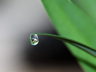 Toplijsten: De 10 mooiste klassieke tranentrekkers