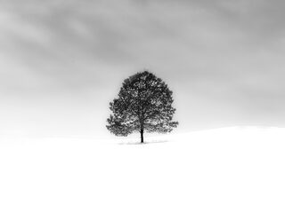 Zen in één minuut: Schuberts Winterreise