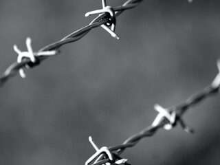 Auschwitz Museum verwerft baton kampdirigent