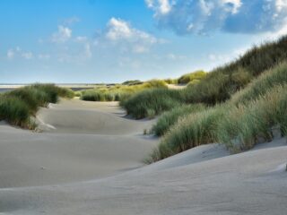 Zo versterken beelden van het Nederlandse landschap en klassieke muziek elkaar