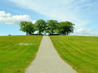 Zen in één minuut: Dvořáks Celloconcert
