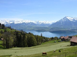 Luistertip: muziek van Brahms geïnspireerd door het meer van Thun