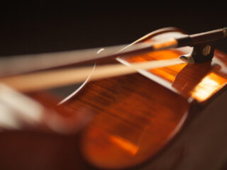 Prominente musici: 'Verbod handel in hout voor instrumenten verwoest het muziekleven'