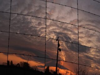 Bekijk Focus: de studienachten van NPO Klassiek