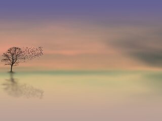 Zen in één minuut: Bernard Haitink in Bruckner