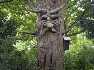 Efteling-componist wint rechtszaak