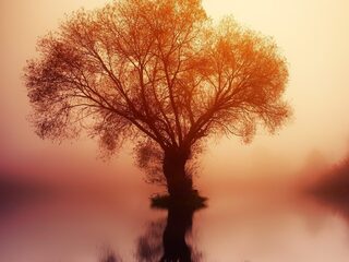 Zen in één minuut: Anna Fedorova speelt Mozart