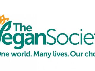 Ierse vioolbouwer komt met 's werelds eerste vegan viool