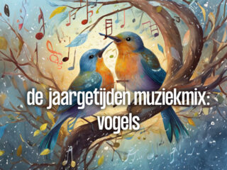 Vogels en klassieke muziek: dat klinkt zo