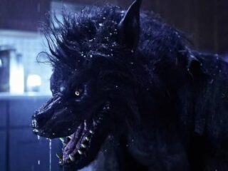 The Newton Brothers maken muziek bij de horrorthriller 'Werewolves'