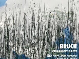 Max Bruch - String Quintets & Octet