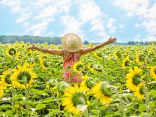 Speellijst: klassieke opvrolijkers