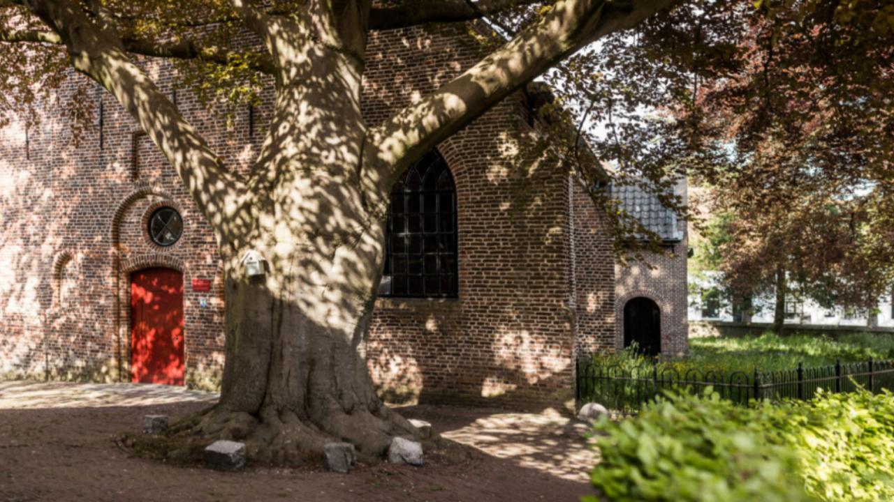 Batenburg Baroque Festival