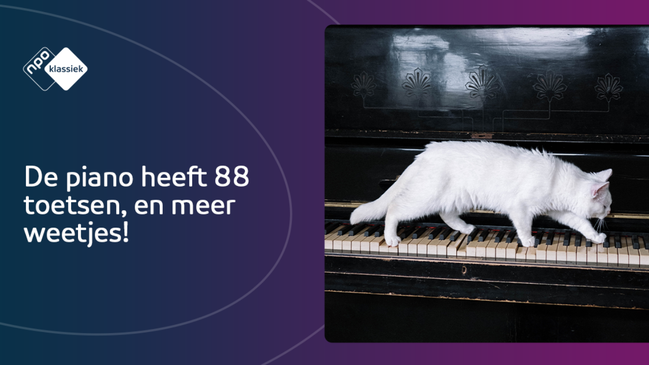 Dit wist je nog niet: 5 weetjes over de piano | NPO Klassiek