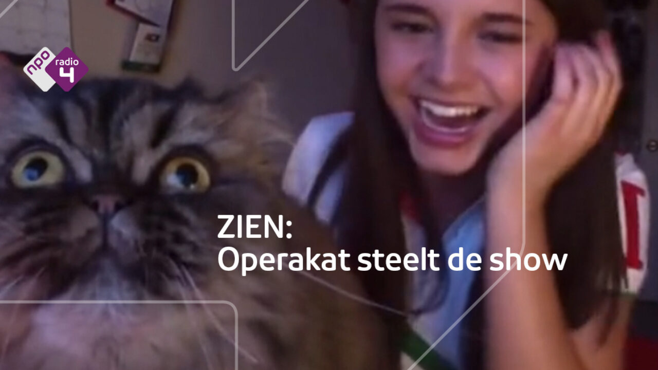 Voor de kat z'n viool: operakat steelt de show | NPO Radio 4 | NPO Klassiek