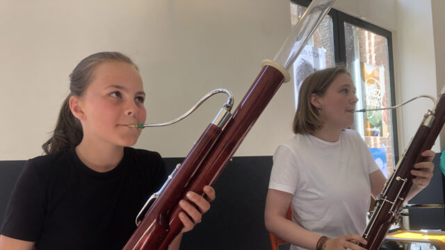 De onterecht onbeminde fagot