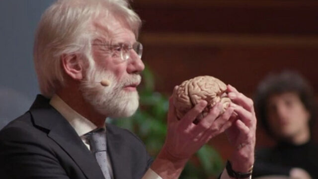 Podium Klassiek 17 maart staat in het teken van muziek en het brein